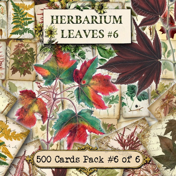 Herbarium Leaves #6 - set of 40 pictures on 500 cards in JPG with antique illustrations instant digital download for commercial use