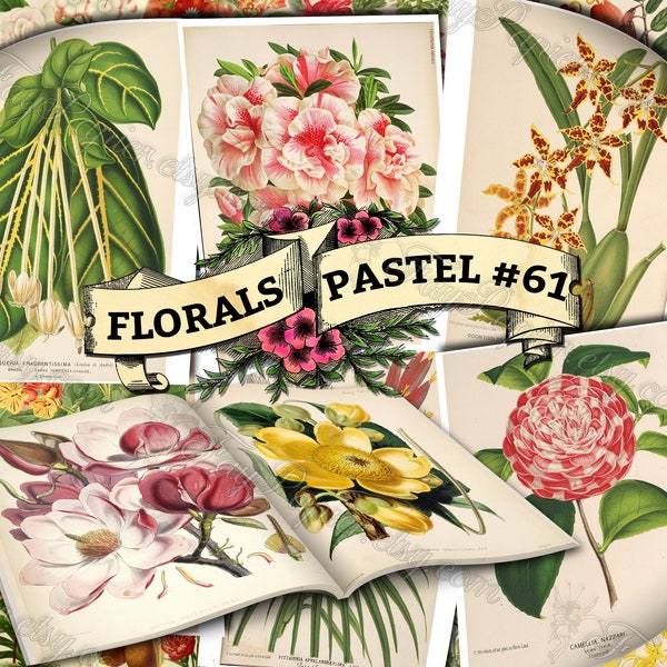 Florals Pastel #61 - set of 54 digital sheets with botanical pictures in JPG printable 8.5x11 inches ephemera pack of flowers plants prints