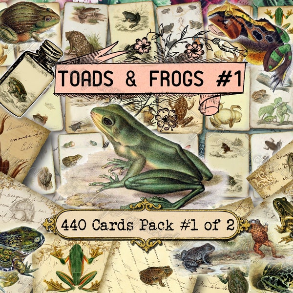 Toads and Frogs #1 - set of 40 pictures on 440 cards in JPG with antique illustrations instant digital download vintage image animals rana