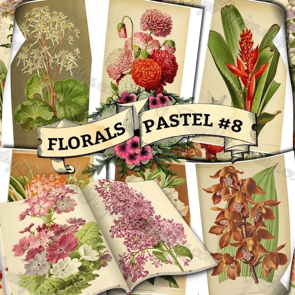 Florals Pastel #8 - set of 54 digital sheets with botanical pictures in JPG printable 8.5x11 inches ephemera pack for mixed media journal