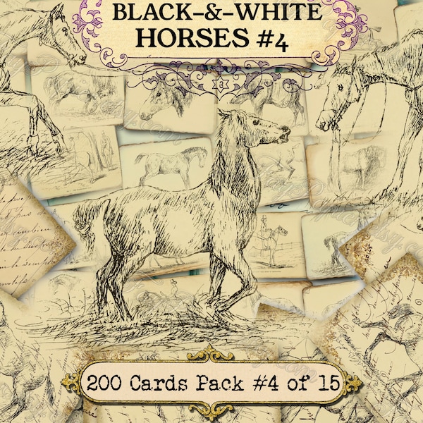 Black-and-white Horses #4 - set of 40 pictures on 200 cards in JPG with antique illustrations drawing journaling bunch victorian century