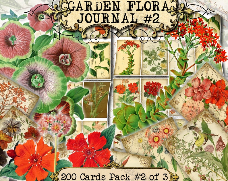 Garden Flora Journal 2 set of 200 ATC cards in JPG format with antique illustrations ophris sedum orchis miltonia lilium hepotica tydaea image 1