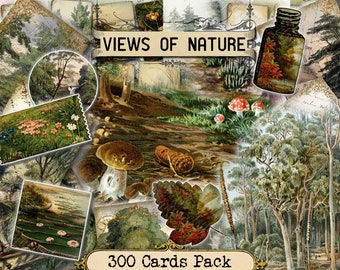 Views of Nature - set of 40 pictures on 300 cards in JPG with illustrations printable 8x10 inch nature plant floral botanical landscapes