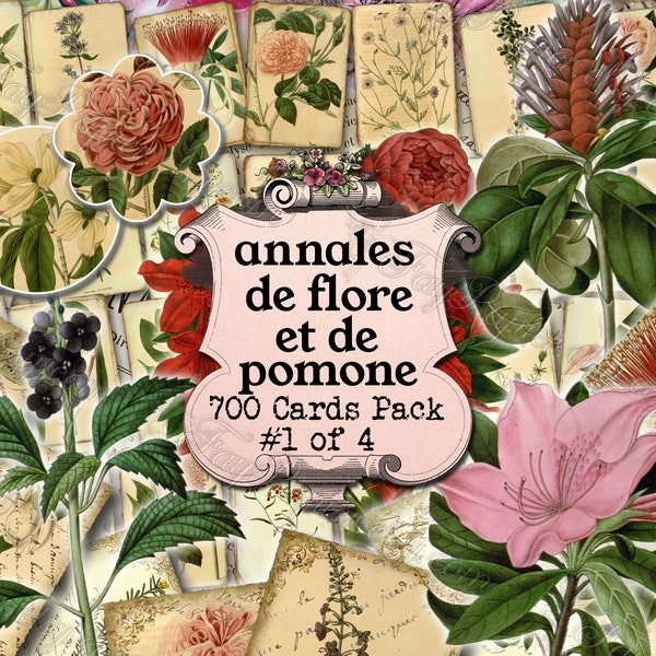 Annales de Flore et de Pomone #1 - set of 40 pictures on 700 cards benthamia puya spiraea torenia pitcairnia carolinea azalea dahlia rose