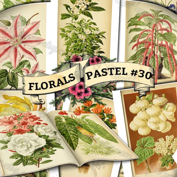 Florals Pastel #30 - set of 54 digital sheets with botanical pictures in JPG printable 8.5x11 inches ephemera pack of flowers plants prints