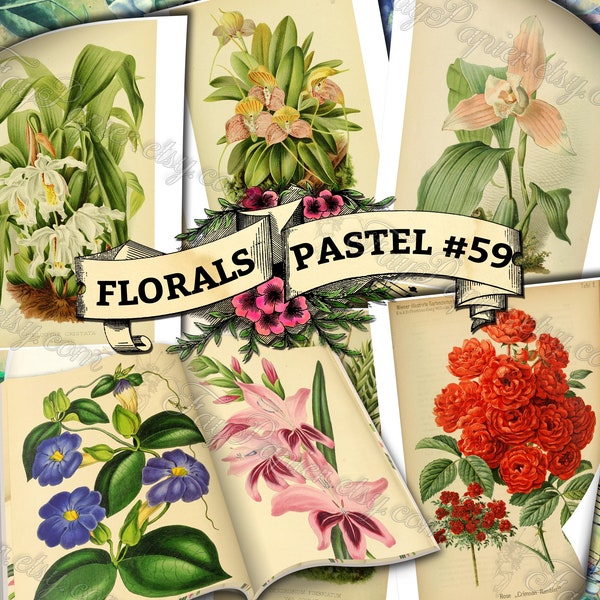 Florals Pastel #59 - set of 54 digital sheets with botanical pictures in JPG printable 8.5x11 inches ephemera pack of flowers plants prints