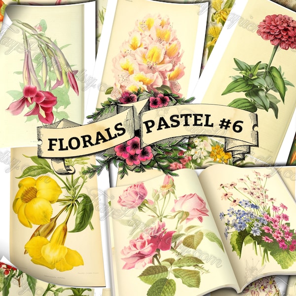 Florals Pastel #6 - set of 54 digital sheets with botanical pictures in JPG printable 8.5x11 inches ephemera pack for mixed media journal