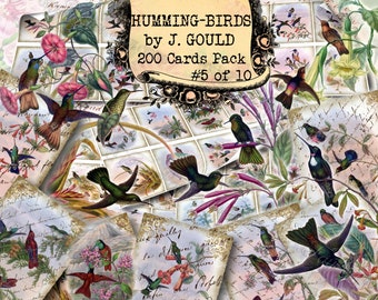 Humming-birds by Gould #5 - set of 200 ATC cards in JPG format with antique illustrations high quality clipart journal image sheet print jpg