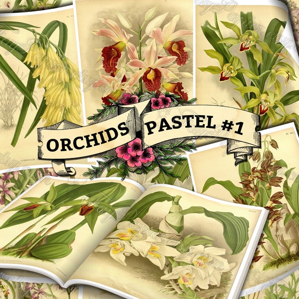 Orchid Pastel #1 - set of 54 digital sheets with botanical pictures in JPG printable 8.5x11 inches ephemera pack of garden flowers blossoms