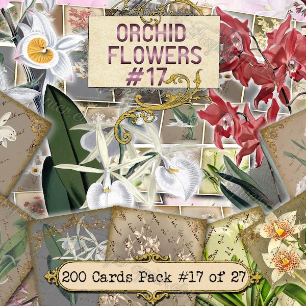Orchid Flowers #17 - set of 200 ATC cards printable botanical floral plants maxillaria dendrobium masdevallia odontoglossum epidendrum
