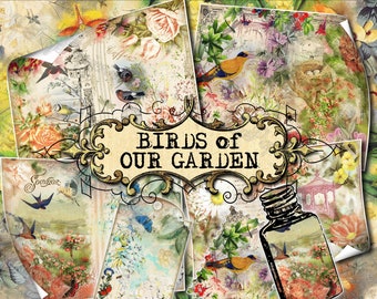 Birds of Our Garden - set of 35 junk journal sheets with digital collages of vintage style graphics designs in JPG butterfly flowers floral
