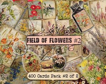 Field of Flowers #2 - set of 40 pictures on 400 cards in JPG format with antique illustrations instant digital download for commercial use