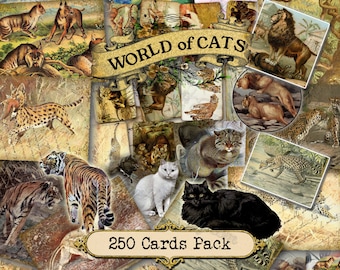 World of Cats - set van 40 foto's op 250 kaarten in JPG met antieke illustraties zoogdieren dieren wild 19e digitale kit afdrukbaar 8x10 inch