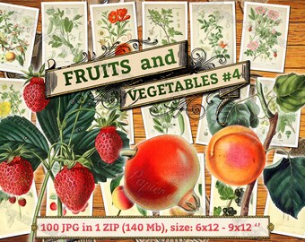 FRUITS and VEGETABLES #4 - pack of 100 vintage images Plum Grapes Gooseberry pictures High resolution digital download printable Strawberry