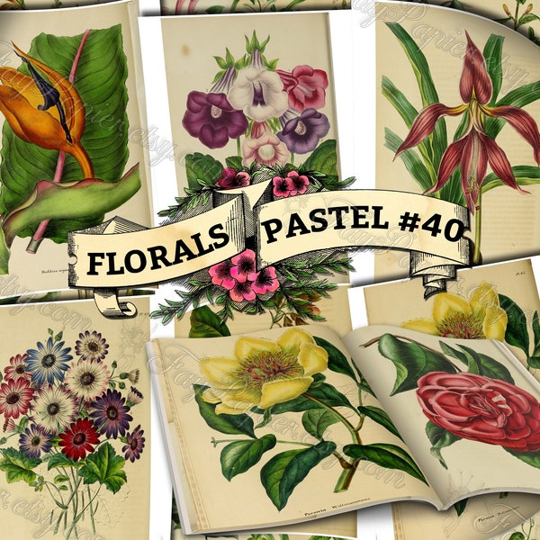 Florals Pastel #40 - set of 54 digital sheets with botanical pictures in JPG printable 8.5x11 inches ephemera pack of flowers plants prints