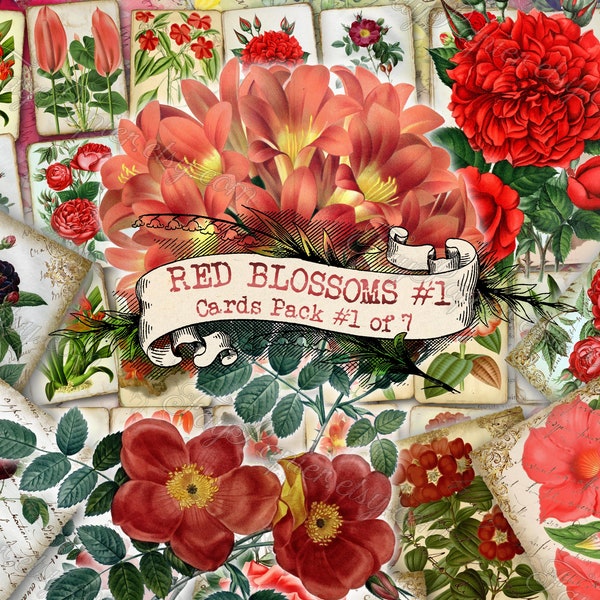 Red Blossoms #1 - set of 40 pictures on 700 cards in JPG with antique illustrations instant digital download inserts for botanical journal