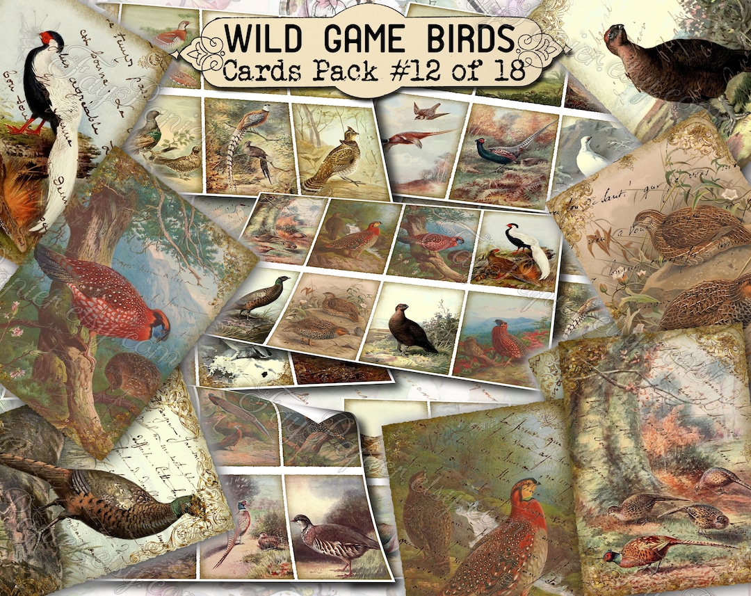Wild Game Birds 12 Set of 200 ATC Cards Animals Wild Life Nature