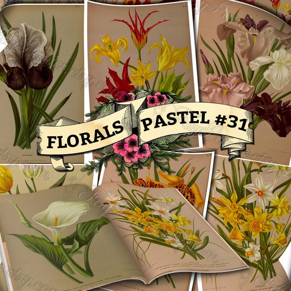 Florals Pastel #31 - set of 54 digital sheets with botanical pictures in JPG printable 8.5x11 inches ephemera pack of flowers plants prints