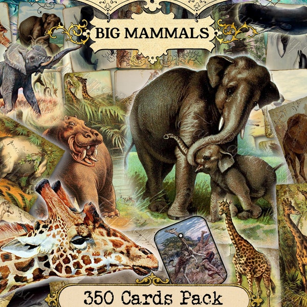 Big Mammals - set of 40 pictures on 350 cards in JPG with antique illustration instant digital download rhinoceros elephant whale large size