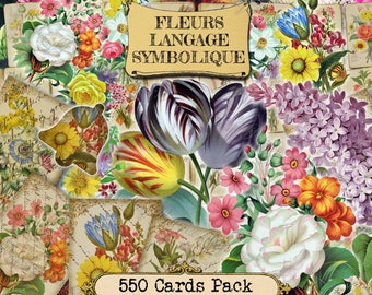 Fleurs Langage Symbolique - set of 40 pictures on 550 cards in JPG with antique illustrations instant digital download for commercial use