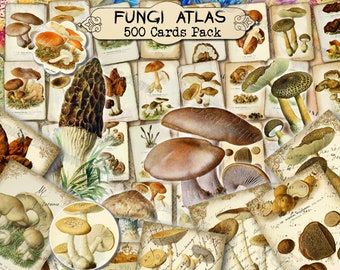 Fungi Atlas - set of 40 pictures on 500 cards vintage design illustrations inserts for natural junk journal clip art mushroom forest summer