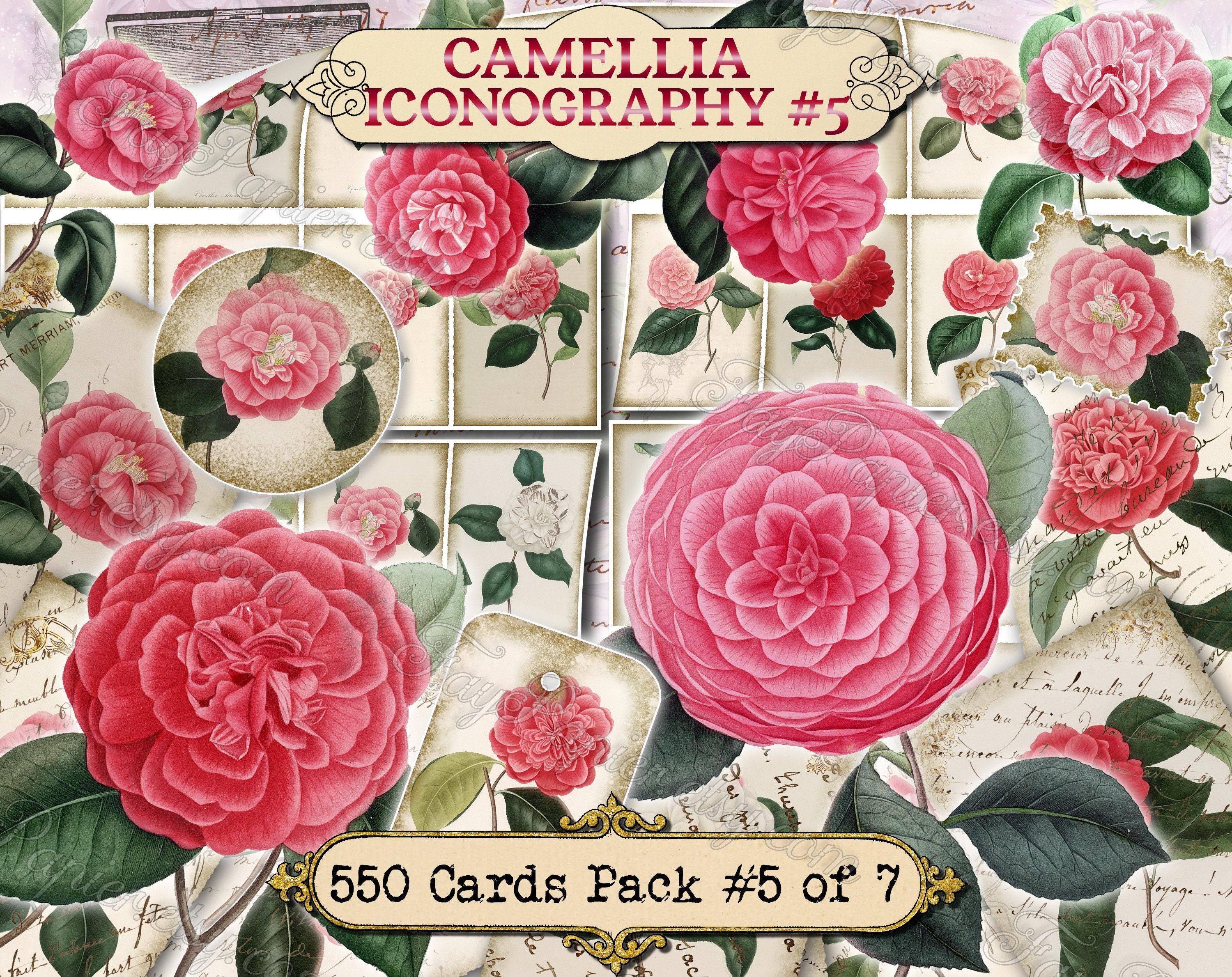 CAMELLIA, FEBRUARY FLOWER  STAMP-STYLE VINYL STICKER – Botanica Paper Co