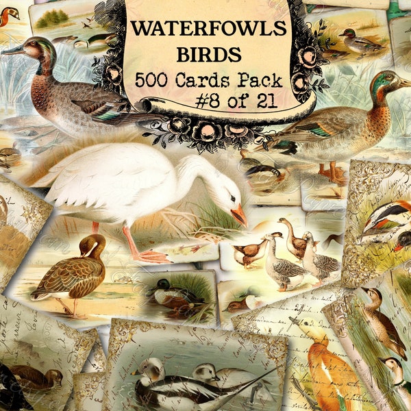 Waterfowls Birds #8 - set of 40 pictures on 500 cards with antique illustrations drawing painting ready art collage high quality clipart