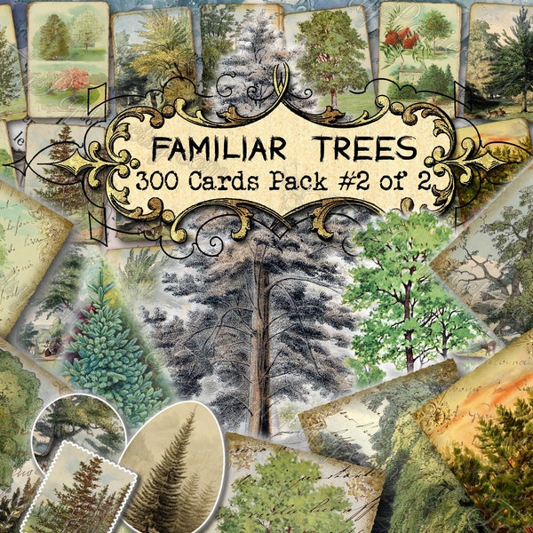 Familiar Trees #2 - set of 40 pictures on 300 cards vintage Christmas tree Elm Fir Hazel Lime Chestnut Elder Ash Oak Sycamore Walnut Forest