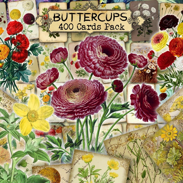 Buttercups - set of 40 pictures on 400 cards vintage old illustrations inserts for natural junk journal Ranunculus spearwort water crowfoots