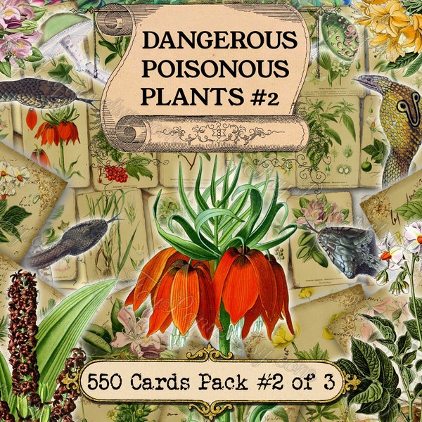 Dangerous Poisonous Plants #2 - set of 40 pictures on 550 cards with antique illustrations floral botanical flowers poison danger flora