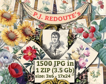 P. J. REDOUTE's - pack of 1500 vintage large size images pictures by Pierre-Joseph Redoute in High resolution digital printable antique set