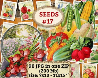 SEEDS # 17 - Packung mit 90 Vintage Bilder in hoher Auflösung alte digitale Download druckbare Gemüse Radieschen Karotten Erbsen Kataloge Cover