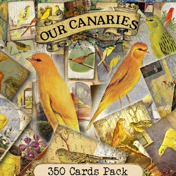 Our Canaries - set of 40 pictures on 350 cards in JPG with antique illustrations instant digital download vintage yellow canary cage birds