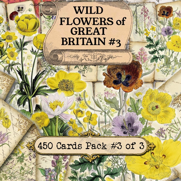 Wild Flowers of Great Britain #3 - set of 40 pictures on 450 cards in JPG with antique illustrations printable 8x10 inch journaling bunch