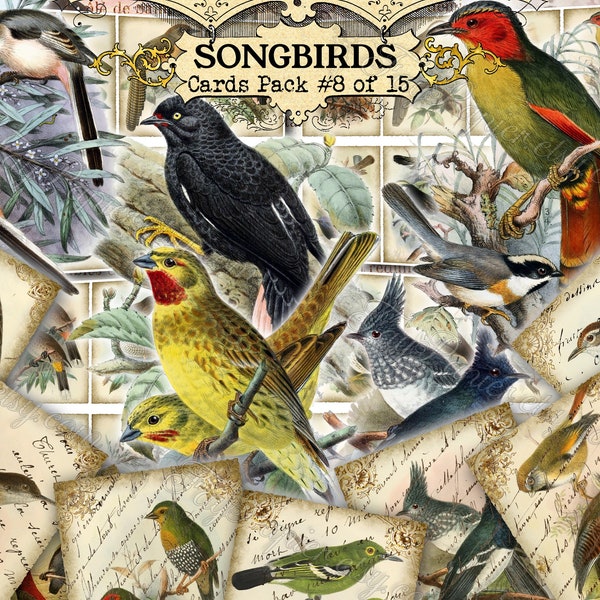 Songbirds #8 - set of 200 ATC cards animals wild life nature natural printable colorful print pictures little small size song passerine bird