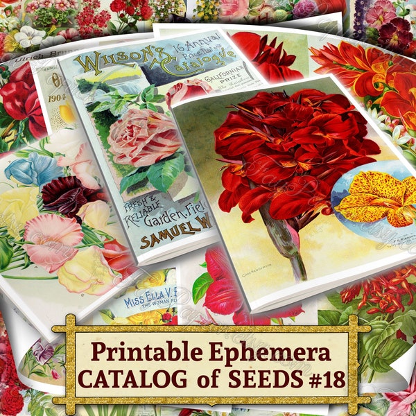 Printable Ephemera Catalog of Seeds #18 - set of 36 digital sheets with botanical pictures in JPG 8.5x11 inches pack for mixed media journal