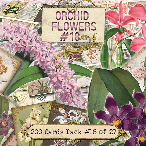Orchid Flowers #18 - set of 200 ATC cards printable botanical floral plants flora colorful print vintage pictures images old book page