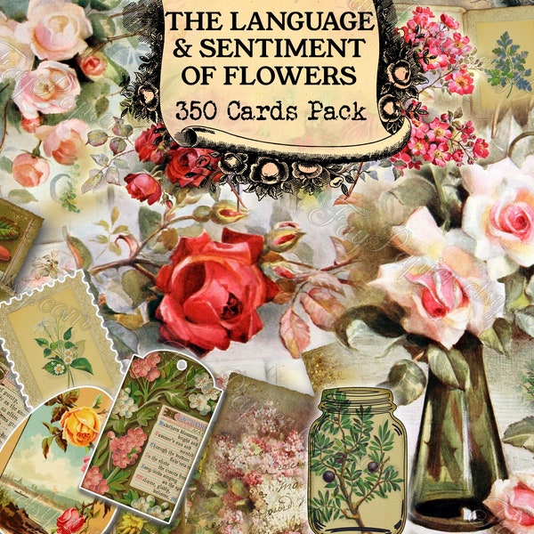 The Language and Sentiment of Flowers - set of 40 pictures on 350 cards in JPG with antique illustrations vintage flowers blossom plant