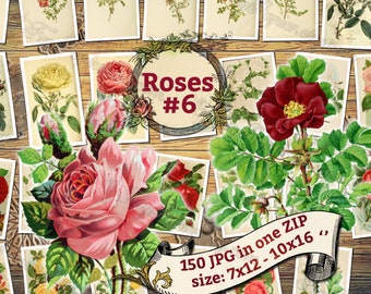 ROSES # 6 - Packung mit 150 schönen Vintage-Bilder Blumensträußen Bildern Hohe Auflösung digitaler Download druckbare weiße rote Blumen Gattung Rosa