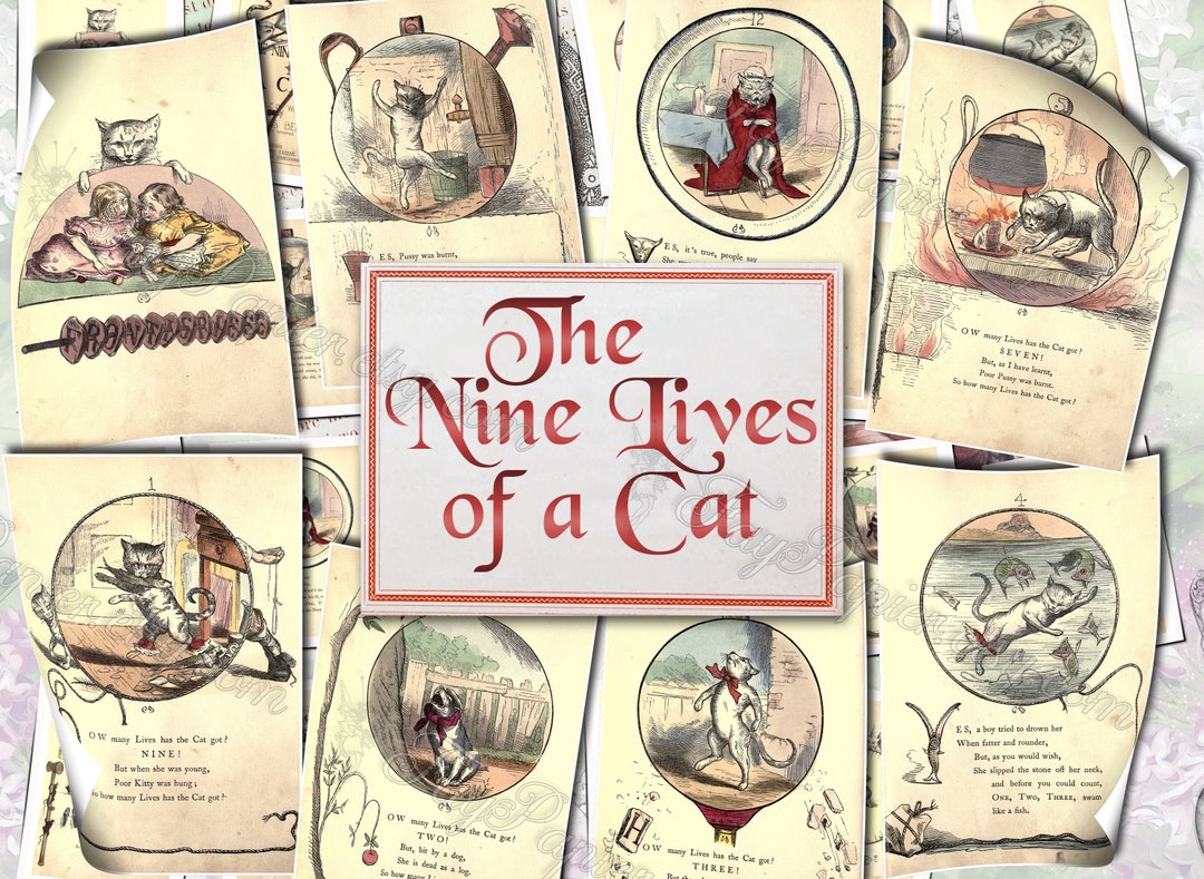 The Nine Lives of A Cat Set of 23 Old Illustrations From Etsy