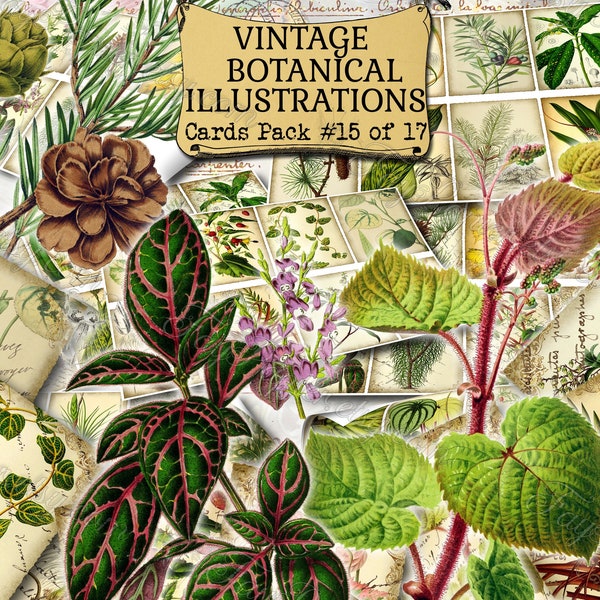 Vintage Botanical Illustrations #15 - set of 200 ATC cards printable flowers botanical floral plants flora colorful print vintage pictures