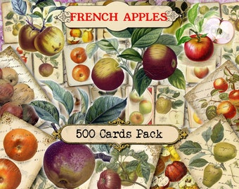 French Apples - set of 40 pictures on 500 cards with antique illustrations instant digital download fruits journals books succulent fruit