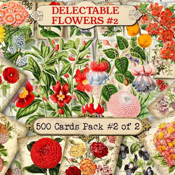 Delectable Flowers #2 - set of 40 pictures on 500 cards in JPG with antique illustrations instant digital download for commercial use