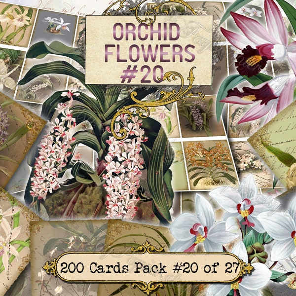 Orchid Flowers #20 - set of 200 ATC cards printable botanical floral plants flora colorful print vintage pictures images old book page