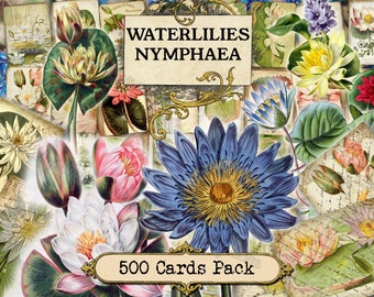 Waterlily Nymphaea - set of 40 pictures on 500 cards with antique illustrations ready art collage drawing painting style graphic design