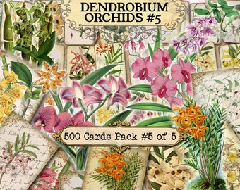 Dendrobium Orchids #5 - set of 40 pictures on 500 cards in JPG with antique illustrations flowers botanical flora flora blossoms mixed media