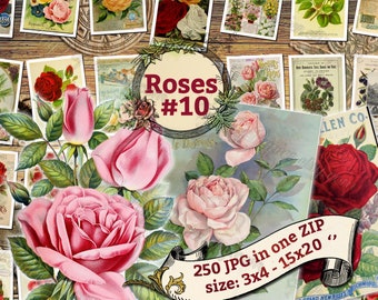 ROSES #10 - Packung mit 250 schönen Vintage hochauflösende Bilder Blumensträuße rosa Bilder digitaler Download druckbare Zeitschriften Cover in Vase