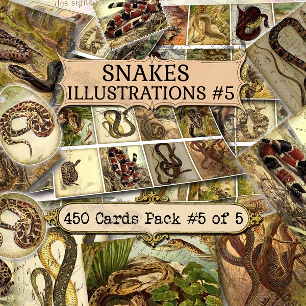 Snakes Illustrations #5 - set of 40 pictures on 450 cards with antique illustrations style graphic design jpg jpeg pack zip 300 dpi 1800s