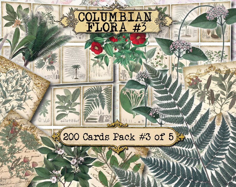 Columbian Flora 3 set of 200 ATC cards antique illustrations connarus bactris calliandra codazzia siphoniopsis schwerinia alsophila image 1