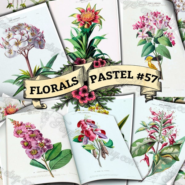Florals Pastel #57 - set of 54 digital sheets with botanical pictures in JPG printable 8.5x11 inches ephemera pack of flowers plants prints